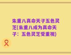 朱重八真命天子五色灵芝(朱重八成为真命天子：五色灵芝受重视)