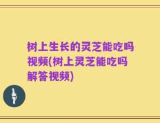 树上生长的灵芝能吃吗视频(树上灵芝能吃吗解答视频)