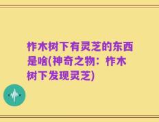 柞木树下有灵芝的东西是啥(神奇之物：柞木树下发现灵芝)