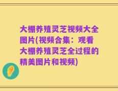 大棚养殖灵芝视频大全图片(视频合集：观看大棚养殖灵芝全过程的精美图片和视频)
