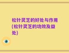 松针灵芝的好处与作用(松针灵芝的功效及益处)