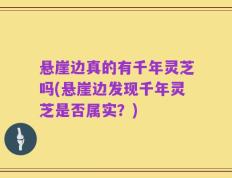 悬崖边真的有千年灵芝吗(悬崖边发现千年灵芝是否属实？)