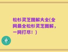 松杉灵芝图解大全(全网最全松杉灵芝图解，一网打尽！)