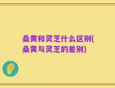 桑黄和灵芝什么区别(桑黄与灵芝的差别)
