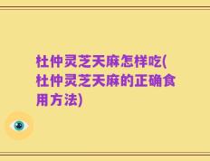 杜仲灵芝天麻怎样吃(杜仲灵芝天麻的正确食用方法)