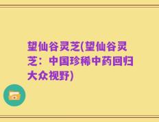 望仙谷灵芝(望仙谷灵芝：中国珍稀中药回归大众视野)