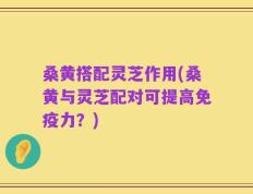 桑黄搭配灵芝作用(桑黄与灵芝配对可提高免疫力？)