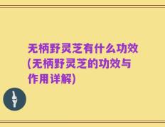 无柄野灵芝有什么功效(无柄野灵芝的功效与作用详解)