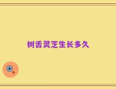 树舌灵芝生长多久