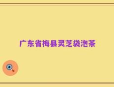 广东省梅县灵芝袋泡茶