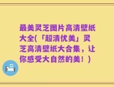 最美灵芝图片高清壁纸大全(「超清优美」灵芝高清壁纸大合集，让你感受大自然的美！)