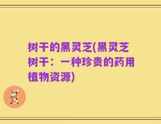 树干的黑灵芝(黑灵芝树干：一种珍贵的药用植物资源)