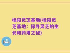 桂阳灵芝基地(桂阳灵芝基地：探寻灵芝的生长和药用之秘)