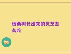 板栗树长出来的灵芝怎么吃