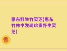 惠东野生竹灵芝(惠东竹林中发现珍贵野生灵芝)