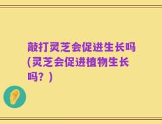敲打灵芝会促进生长吗(灵芝会促进植物生长吗？)