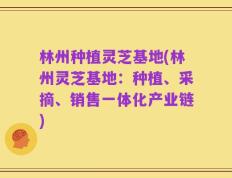 林州种植灵芝基地(林州灵芝基地：种植、采摘、销售一体化产业链)