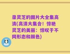 录灵芝的图片大全集高清(高清大集合！惊艳灵芝的美丽：惊叹于不同形态和颜色)