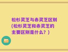 松杉灵芝与赤灵芝区别(松杉灵芝和赤灵芝的主要区别是什么？)