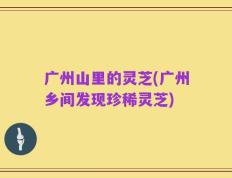 广州山里的灵芝(广州乡间发现珍稀灵芝)