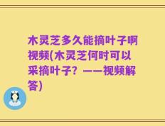 木灵芝多久能摘叶子啊视频(木灵芝何时可以采摘叶子？——视频解答)