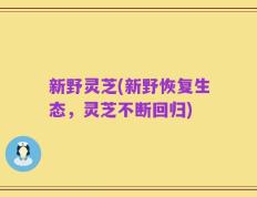 新野灵芝(新野恢复生态，灵芝不断回归)