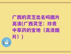 广西的灵芝出名吗图片高清(广西灵芝：珍贵中草药的宝地（高清图片）)
