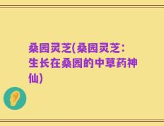 桑园灵芝(桑园灵芝：生长在桑园的中草药神仙)