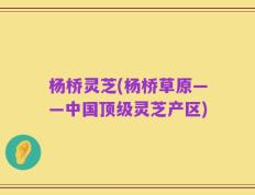 杨桥灵芝(杨桥草原——中国顶级灵芝产区)