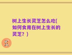 树上生长灵芝怎么吃(如何食用在树上生长的灵芝？)