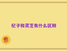 杞子和灵芝有什么区别