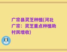 广宗县灵芝种植(河北广宗：灵芝重点种植助村民增收)