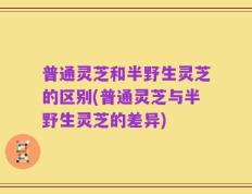 普通灵芝和半野生灵芝的区别(普通灵芝与半野生灵芝的差异)