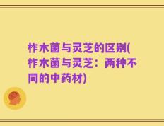 柞木菌与灵芝的区别(柞木菌与灵芝：两种不同的中药材)