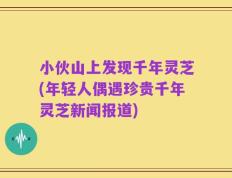 小伙山上发现千年灵芝(年轻人偶遇珍贵千年灵芝新闻报道)