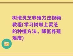 树墩灵芝养殖方法视频教程(学习树墩上灵芝的种植方法，降低养殖难度)