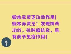椴木赤灵芝功效作用(椴木赤灵芝：发现神奇功效，抗肿瘤抗炎，具有调节免疫作用)