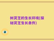 树灵芝的生长环境(探秘灵芝生长条件)