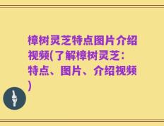 樟树灵芝特点图片介绍视频(了解樟树灵芝：特点、图片、介绍视频)
