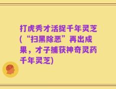 打虎秀才活捉千年灵芝(“扫黑除恶”再出成果，才子捕获神奇灵药千年灵芝)
