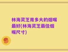 林海灵芝用多大的烟嘴最好(林海灵芝最佳烟嘴尺寸)