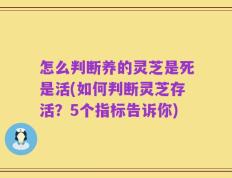 怎么判断养的灵芝是死是活(如何判断灵芝存活？5个指标告诉你)