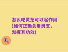 怎么吃灵芝可以起作用(如何正确食用灵芝，发挥其功效)