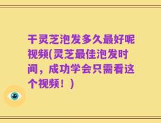 干灵芝泡发多久最好呢视频(灵芝最佳泡发时间，成功学会只需看这个视频！)