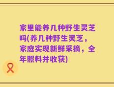 家里能养几种野生灵芝吗(养几种野生灵芝，家庭实现新鲜采摘，全年照料并收获)