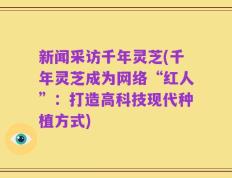 新闻采访千年灵芝(千年灵芝成为网络“红人”：打造高科技现代种植方式)