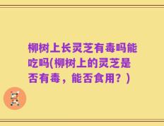柳树上长灵芝有毒吗能吃吗(柳树上的灵芝是否有毒，能否食用？)