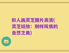 拟人画灵芝图片高清(灵芝绽放：别样风情的自然之美)