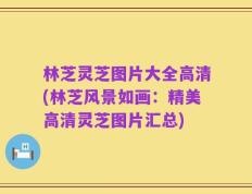 林芝灵芝图片大全高清(林芝风景如画：精美高清灵芝图片汇总)