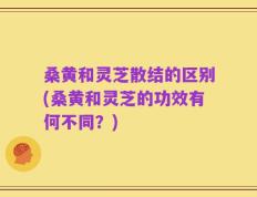 桑黄和灵芝散结的区别(桑黄和灵芝的功效有何不同？)